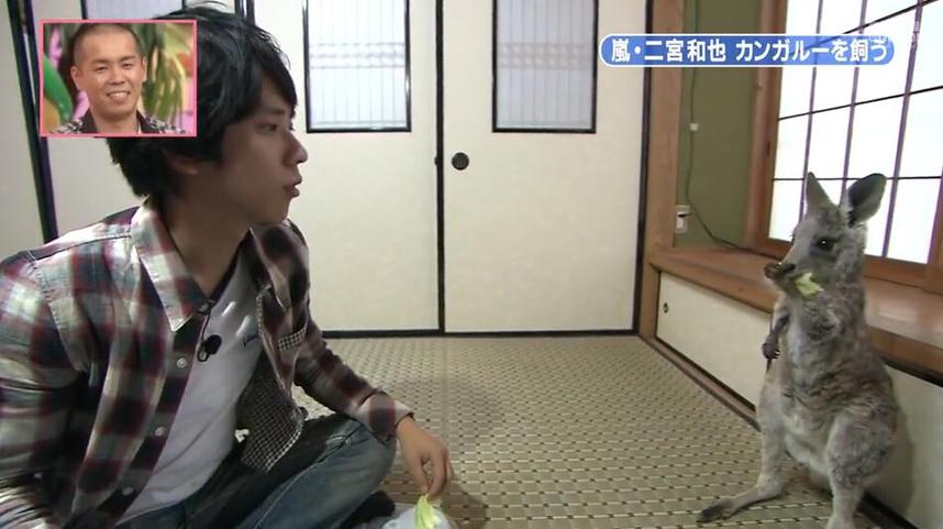日本综艺有个胖子叫什么？五大主流综艺节目盘点